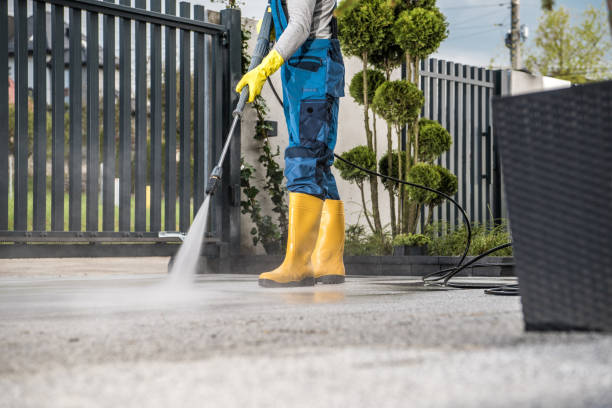 Best Roof Pressure Washing  in Calais, ME